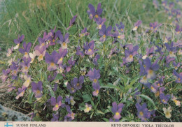 FLEURS Vintage Carte Postale CPSM #PAR007.FR - Bloemen