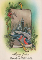 OISEAU Animaux Vintage Carte Postale CPSM #PAM986.FR - Oiseaux