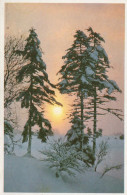 Happy New Year Christmas Vintage Postcard CPSMPF #PKG274.GB - New Year