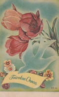 FLOWERS Vintage Postcard CPA #PKE731.GB - Fleurs