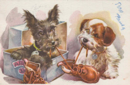 DOG Animals Vintage Postcard CPA #PKE796.GB - Honden