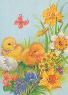 EASTER CHICKEN EGG Vintage Postcard CPSM #PBO662.GB - Ostern