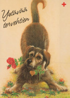 DOG Animals Vintage Postcard CPSM #PAN871.GB - Perros