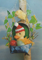 PASQUA UOVO Vintage Cartolina CPSM #PBO221.IT - Easter