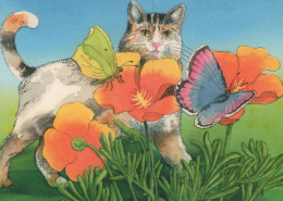 GATTO KITTY Animale Vintage Cartolina CPSM Unposted #PAM358.IT - Gatos
