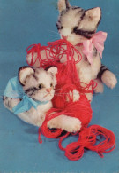 GATTO KITTY Animale Vintage Cartolina CPSM #PAM294.IT - Katten