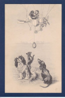 CPA Chien Aviation Teckel Dackel Dachshund écrite Vienne Viennoise Munk Ulreich - Hunde