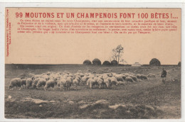 373 DEPT 51 : édit. S Brunelair , Vieux Dicton : 99 Moutons Et Un Champenois Font 100 Bêtes - Andere & Zonder Classificatie