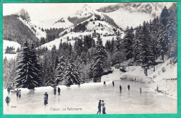 CAUX - LA PATINOIRE - Sonstige & Ohne Zuordnung