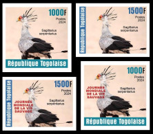 TOGO 2024 SET 4V IMPERF - REG & OVERPRINT - SECRETARY BIRD - BIRDS OISEAUX VOGEL - MNH - Other & Unclassified