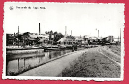 C.P. Charleroi  Et  Environs   =  Souvenir  Du  Pays Noir - Charleroi