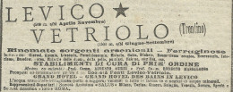 Levico - Vetriolo - Rinomate Sorgenti Arsenicali - Pubblicità 1910 - Adv. - Werbung