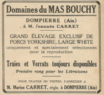 Elevage De Porcs Yorkshire - Domaines Du MAS BOUCHY - Pubblicità 1928 - Pubblicitari