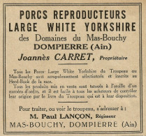Porc Reproducteurs Large White Yorkshire CARRET - Pubblicità 1929 - Advert - Pubblicitari