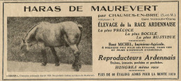 HARAS DE MAUREVERT Par Chaumes En Brie - Pubblicità 1929 - Advertising - Advertising