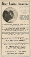 Race Bovine Limousine - LIMOGES - Pubblicità 1929 - Advertising - Publicidad