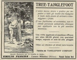 Tree-Tanglefoot - E. Perera - Cusano Milanino - Pubblicità 1934 - Advert. - Advertising