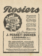 Rosiers J. Pernet-Ducher - Vènissieux - Pubblicità 1929 - Advertising - Advertising