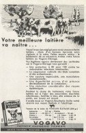 Vogavo èlevage - Limoges - Pubblicità 1961 - Advertising - Publicités