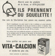 Cura Per Le Ossa Dei Maiali Vita-Calcion - Pubblicità 1961 - Advertising - Advertising