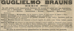 Colorificio Guglielmo Brauns - Desio - Pubblicità 1924 - Advertising - Publicités