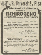 ISCHIROGENO - R. Università Di Pisa - Pubblicità 1928 - Advertising - Publicités