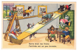 Chats Humanisés Habillés - Gatos