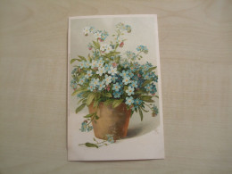 Carte Postale Ancienne MYOSOTIS - Flowers