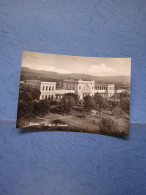 Livorno-stazione Centrale-fg-1957 - Gares - Sans Trains