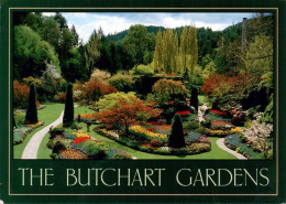 73917940 Victoria  British Columbia Canada The Butchart Gardens - Sin Clasificación