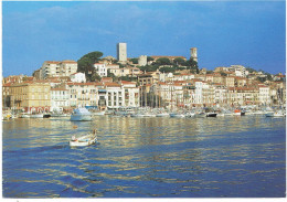 CPM FRANCE 06 ALPES-MARITIMES CANNES - Eclairage Matinal Sur Le Suquet - 1996 - Cannes