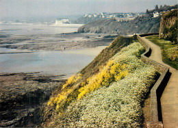 GRANVILLE . Panorama Sur La Côte à Marée Basse - Granville