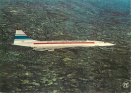 CONCORDE - Andere & Zonder Classificatie