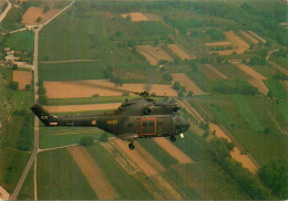 PUMA Du Centre D'Instruction Des équipages D'hélicoptères Armée De L'air .  - Andere & Zonder Classificatie