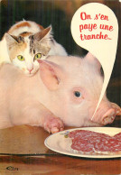 On S'en Paye Une Tranche . HUMOUR HUMORISTIQUES Cochon Et Chat . - Humour