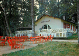 Le Lac Des SETTONS .  Le CHALET DE LA PLAGE . - Other & Unclassified