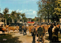 BRIVE . Le Marché Aux Bestiaux . - Brive La Gaillarde