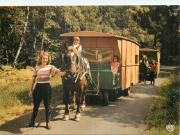 TESSE LA MADELEINE . Attelages De Roulottes En Forêt D'Andaine - Other & Unclassified