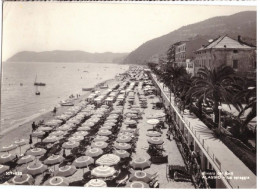 1960 ALASSIO  2  SAVONA - Savona