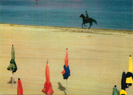 DEAUVILLE . Entrainement Sur Le Bord De Mer ( Cheval équitation ) - Deauville