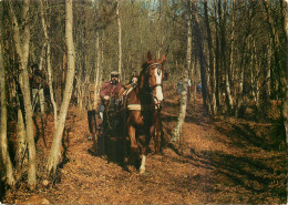 Concours D'attelage .  Photo J. Alix - Altri & Non Classificati