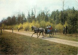 Concours D'attelage .  Photo J. Alix - Andere & Zonder Classificatie