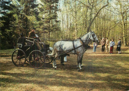 Concours D'attelage .  Photo J. Alix - Andere & Zonder Classificatie