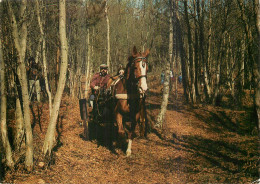 Concours D'attelage .  Photo J. Alix - Otros & Sin Clasificación