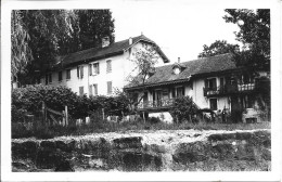 CARTE POSTALE MESSERY  HOTEL DE LA POINTE - 74 - HAUTE-SAVOIE - Andere & Zonder Classificatie