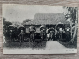 VIET-NAM INDOCHINE COCHINCHINE  TONKIN SAIGON  UN GROUPE D'ELEPHANTS - Vietnam