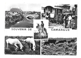 Souvenir De Camargue (multivues) (4093) - Sonstige & Ohne Zuordnung