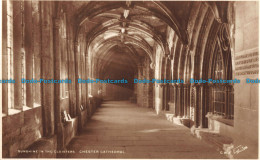 R096497 Sunshine In The Cloisters. Chester Cathedral. Walter Scott. RP - World