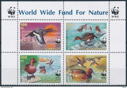Mi 474-77 MNH ** / WWF World Wildlife Fund - Birds, Duck, Ferruginous Pochard, Common White-eye - Azerbaijan