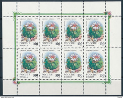 Mi 365 MNH ** Sheetlet / Cactus Kaktus Peyote Lophophora Williamsii - Blocks & Kleinbögen